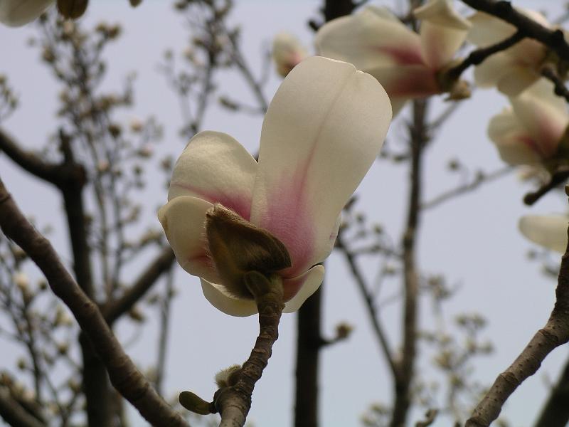 China 2010 271.JPG